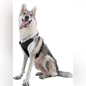 No Pull Dog Training Harness Adjustable ID Clear Tag Holder Sz XL Black New